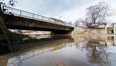 Megint kil&eacute;pett medr&eacute;ből a kicsike - Elszaladt a l&oacute; a Kapos foly&oacute;val - GAL&Eacute;RIA