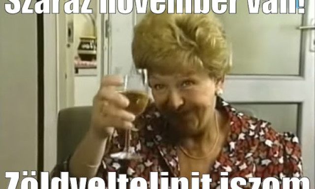 Vas&aacute;rnapig m&eacute;g elteheted magad, azt&aacute;n indul a Sz&aacute;raz November! Bev&aacute;llalod?