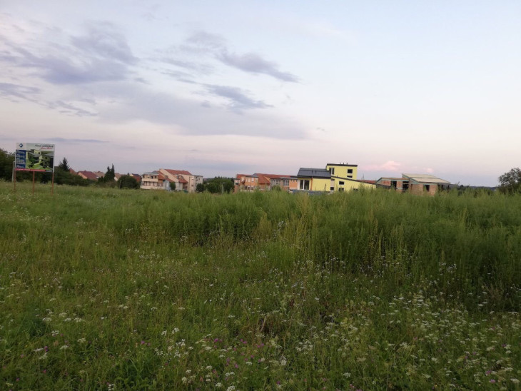A gyerekeket már nem engedik le játszani az Uránián - Két méteresre nőtt a parlagfű