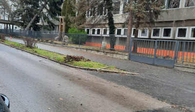 Kezdődik! - A sz&eacute;lvihar első &aacute;ldozatai k&ouml;z&ouml;tt a K&ouml;zgaz &eacute;p&uuml;lete