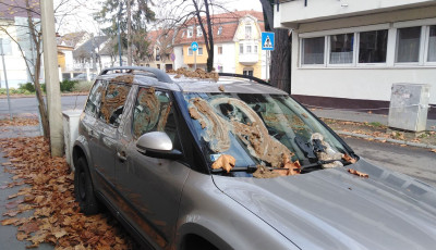 Ez szar&uuml;gy - Nyakig kent&eacute;k &uuml;r&uuml;l&eacute;kkel a parkol&oacute; aut&oacute;t