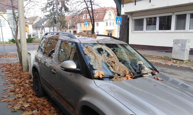 Ez szar&uuml;gy - Nyakig kent&eacute;k &uuml;r&uuml;l&eacute;kkel a parkol&oacute; aut&oacute;t