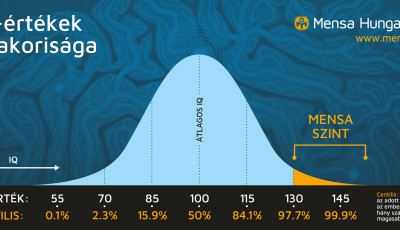 Kaposv&aacute;r: Ma kider&uuml;lhet, hogy 130 f&ouml;l&ouml;tt van e az IQ-szinted