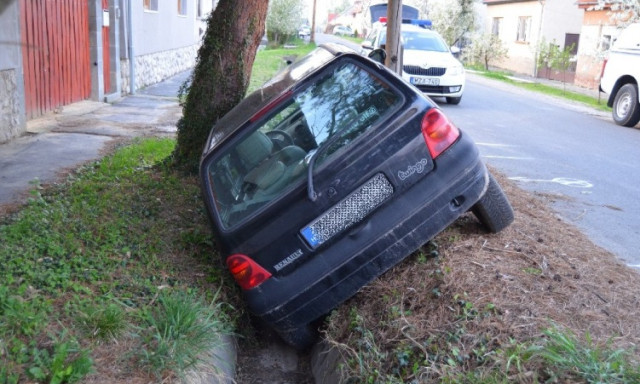 R&eacute;szegen &uuml;tk&ouml;z&ouml;tt f&aacute;nak a G&aacute;rdonyi G&eacute;za utc&aacute;ban