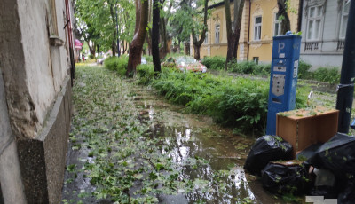 R&eacute;g nem l&aacute;tott puszt&iacute;t&aacute;st v&eacute;gzett a vihar Kaposv&aacute;ron &eacute;s k&ouml;rny&eacute;k&eacute;n, elk&eacute;pesztő felv&eacute;teleket kaptunk &ndash; GAL&Eacute;RIA