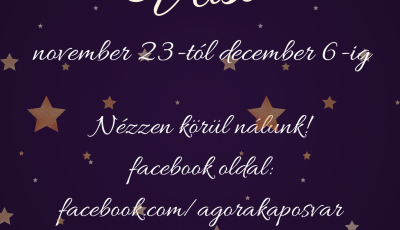 Online kar&aacute;csonyi v&aacute;s&aacute;rt tart december 6-ig az Ag&oacute;ra