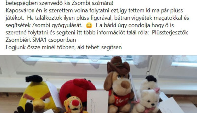 Kaposv&aacute;ron is elindult a pl&uuml;ssterjesztők akci&oacute; - Egy beteg kisfi&uacute;nak seg&iacute;thettek ha csatlakoztok