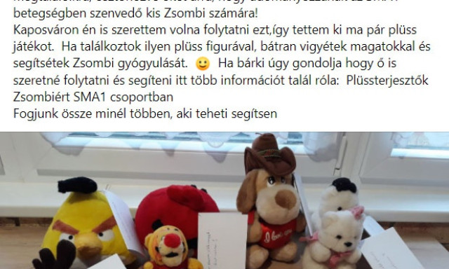 Kaposv&aacute;ron is elindult a pl&uuml;ssterjesztők akci&oacute; - Egy beteg kisfi&uacute;nak seg&iacute;thettek ha csatlakoztok