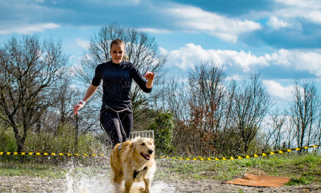 Erdőben, s&aacute;rban, akad&aacute;lyokat &aacute;tszelve &eacute;s persze kuty&aacute;val nyomt&aacute;tok le az III. KE Cross Run-t - GAL&Eacute;RIA