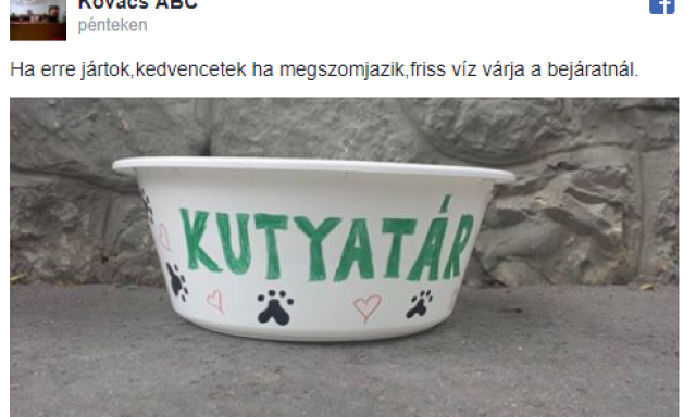 Megszomjazott a kutyusod s&eacute;t&aacute;ltat&aacute;s k&ouml;zben? Az egyik kaposv&aacute;ri ABC seg&iacute;t a helyzeten!