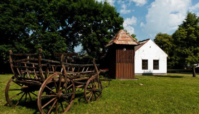 L&aacute;togat&oacute;k&ouml;zpontt&aacute; alak&iacute;tan&aacute;k a sz&aacute;nt&oacute;dpusztai majors&aacute;got