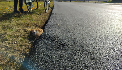 Amikor azt hinn&eacute;nk, m&aacute;r nem tudunk jobban megd&ouml;bbenni - Leaszfaltoztak egy halott macsk&aacute;t