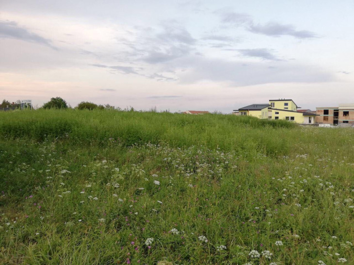 A gyerekeket már nem engedik le játszani az Uránián - Két méteresre nőtt a parlagfű