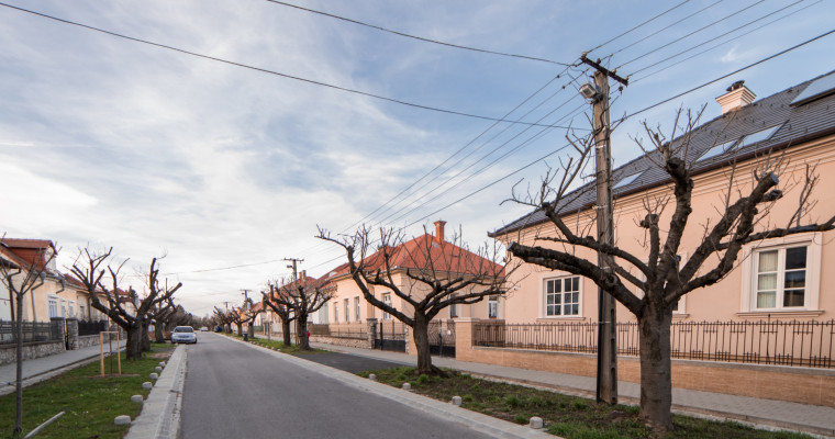 Nem lesz itt gond! M&aacute;r r&uuml;gyeznek a Temesv&aacute;r utca cseresznyef&aacute;i