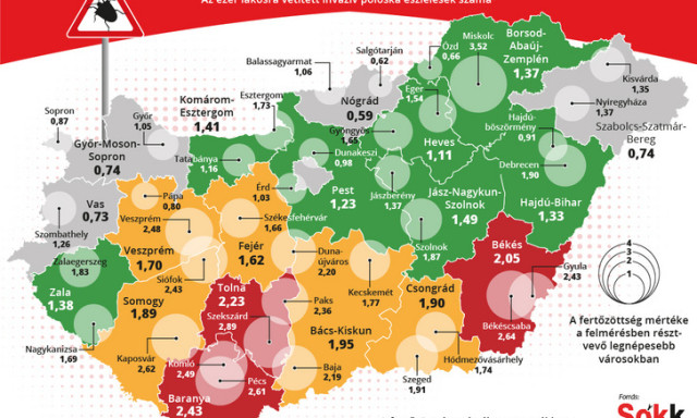 Kaposv&aacute;r a harmadik legfertőz&ouml;ttebb v&aacute;ros az orsz&aacute;gos poloskat&eacute;rk&eacute;p szerint