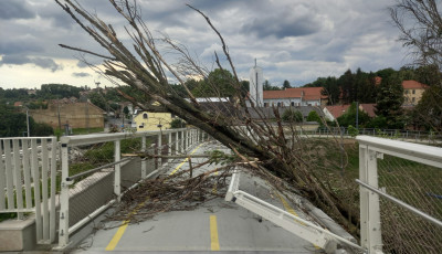 R&aacute;dőlt egy fa az Esterh&aacute;zy h&iacute;dra, kid&ouml;nt&ouml;tte a korl&aacute;tot is