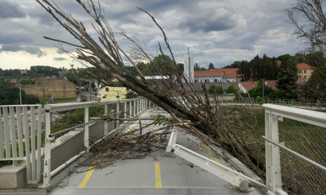 R&aacute;dőlt egy fa az Esterh&aacute;zy h&iacute;dra, kid&ouml;nt&ouml;tte a korl&aacute;tot is