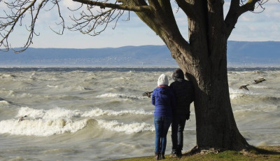 K&aacute;pr&aacute;zatos k&eacute;pek k&eacute;sz&uuml;ltek a haragos, jegesedő Balatonr&oacute;l