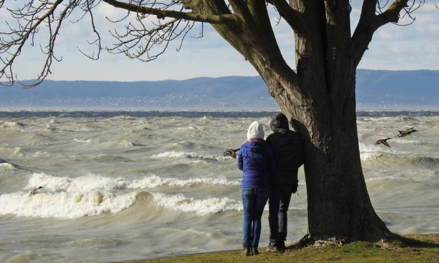 K&aacute;pr&aacute;zatos k&eacute;pek k&eacute;sz&uuml;ltek a haragos, jegesedő Balatonr&oacute;l