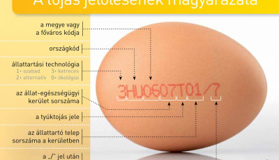 Ler&aacute;ntjuk a leplet a toj&aacute;sk&oacute;d titkair&oacute;l! - Ez&eacute;rt ne vedd meg a h&aacute;rmassal jel&ouml;lteket!