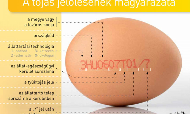 Ler&aacute;ntjuk a leplet a toj&aacute;sk&oacute;d titkair&oacute;l! - Ez&eacute;rt ne vedd meg a h&aacute;rmassal jel&ouml;lteket!