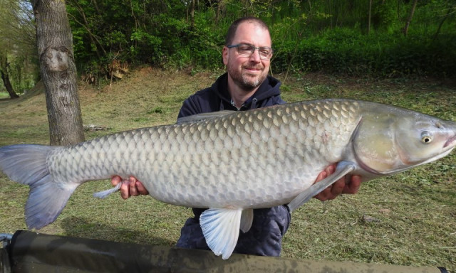 Gigantikus amurt siker&uuml;lt sz&aacute;kba terelni Kiskorp&aacute;don