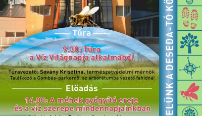 &Eacute;rdemes kil&aacute;togatni a V&iacute;z Vil&aacute;gnapj&aacute;n a Desed&aacute;ra - T&uacute;r&aacute;t &eacute;s előad&aacute;sokat  szerveznek