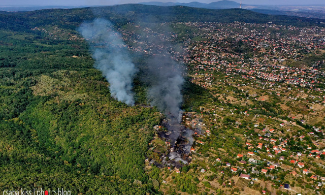 L&aacute;ngra kapott a Mecsek oldala, eln&eacute;z&eacute;st k&eacute;rt a tűz okoz&oacute;ja - VIDE&Oacute;