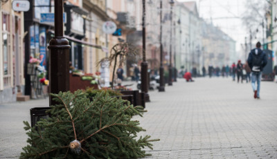 Kidobott kar&aacute;csonyf&aacute;kkal teltek meg Kaposv&aacute;r utc&aacute;i