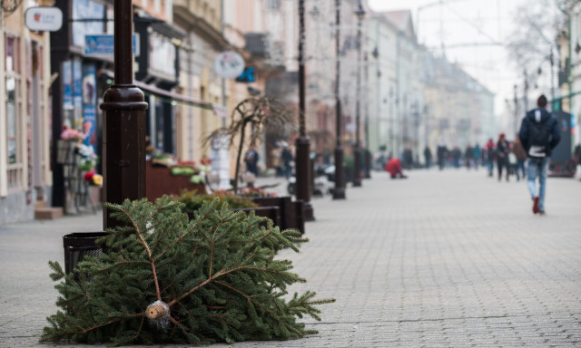 Kidobott kar&aacute;csonyf&aacute;kkal teltek meg Kaposv&aacute;r utc&aacute;i