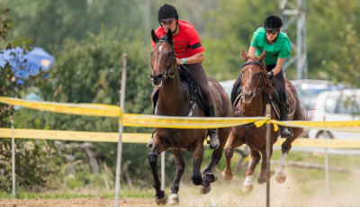 Kaposv&aacute;r nyerte a Nemzeti V&aacute;gta előfutam&aacute;t - GAL&Eacute;RIA