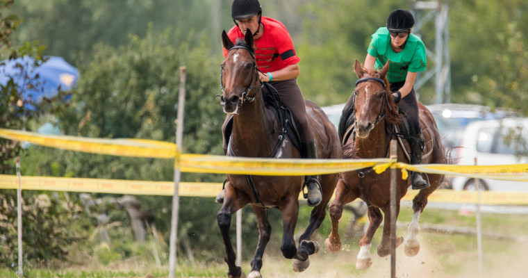 Kaposv&aacute;r nyerte a Nemzeti V&aacute;gta előfutam&aacute;t - GAL&Eacute;RIA