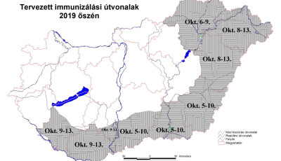 Ebz&aacute;rlatot hirdettek okt&oacute;berre Kaposv&aacute;rra!