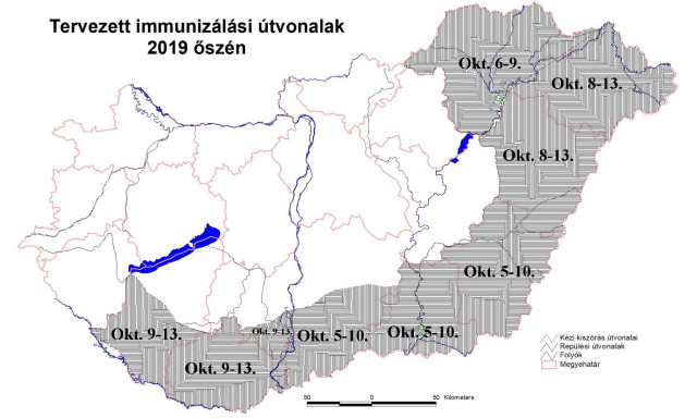 Ebz&aacute;rlatot hirdettek okt&oacute;berre Kaposv&aacute;rra!