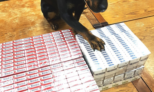 1300 doboz ad&oacute;zatlant Winstont sz&uacute;rt ki Boo, a cigarettakereső kutya