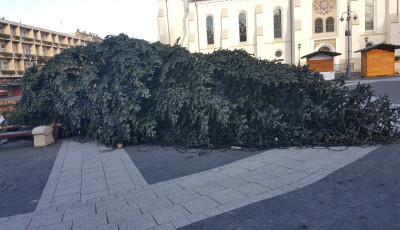 Eddig b&iacute;rta, kidőlt a v&aacute;ros kar&aacute;csonyf&aacute;ja!