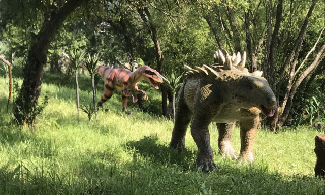 D&iacute;n&oacute; Park ny&iacute;lik tavasszal Somogyban