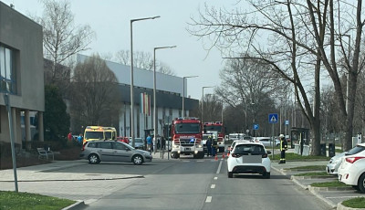 &Uacute;jra biztons&aacute;gos a Vir&aacute;gf&uuml;rdő, m&aacute;r az eg&eacute;sz ter&uuml;lete haszn&aacute;lhat&oacute;