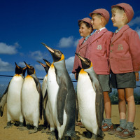 21 soha nem látott fotó a National Geographic tárházából