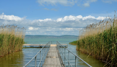 M&eacute;g jobban &oacute;vn&aacute;k a Balaton &eacute;lővil&aacute;g&aacute;t, miniszteri biztost neveztek ki a feladatra