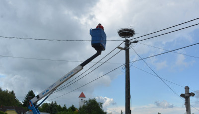 Megvannak a sz&eacute;lsős&eacute;ges időj&aacute;r&aacute;s első &aacute;ldozatai - G&oacute;lyafi&oacute;k&aacute;k pusztultak el Kaposszerdahelyen