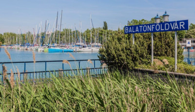 Kukkol&oacute;t fogtak Balatonf&ouml;ldv&aacute;ron - Az &ouml;lt&ouml;zőf&uuml;lk&eacute;t kamer&aacute;zta suttyomban