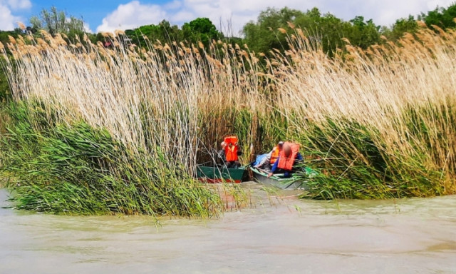 Megint a n&aacute;das fogott ki a balatoni pec&aacute;sokon, a v&iacute;zirend&eacute;szet mentette ki őket