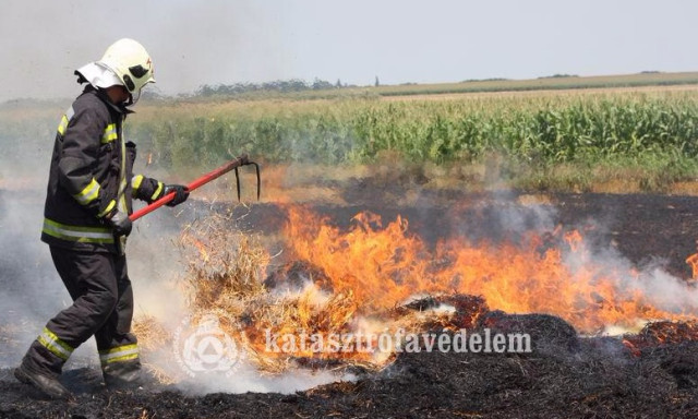 L&aacute;ngra lobbantak a b&aacute;l&aacute;k a nagy melegben Bat&eacute;ban - h&aacute;romsz&aacute;z n&eacute;gyzetm&eacute;teres ter&uuml;leten le&eacute;gett a tarl&oacute;