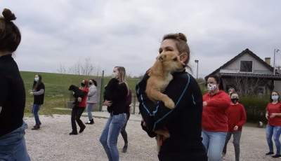 Si&oacute;foki &ouml;nk&eacute;ntesek &eacute;s menhelyi kutyusok k&ouml;z&ouml;sen ropj&aacute;k a kih&iacute;v&aacute;sra - VIDE&Oacute;