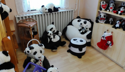 Kaposv&aacute;r mellett ny&iacute;lik az orsz&aacute;g első panda ki&aacute;ll&iacute;t&aacute;sa! - T&ouml;bb mint 1000 cuki panda a porondon