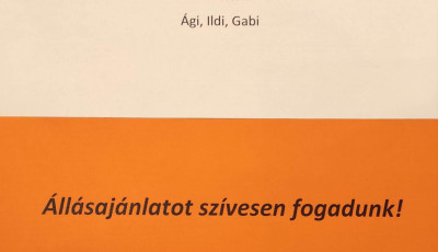 &Uacute;jabb rol&oacute;t h&uacute;ztak le a s&eacute;t&aacute;l&oacute; utc&aacute;n, bez&aacute;rt az Aranybagoly K&ouml;nyvesbolt is