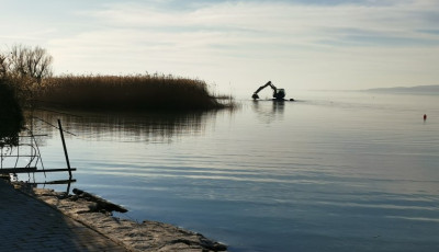 Enged&eacute;ly n&eacute;lk&uuml;l irtott&aacute;k a n&aacute;dast a Balaton d&eacute;li partj&aacute;n