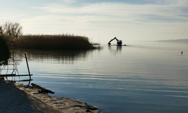 Enged&eacute;ly n&eacute;lk&uuml;l irtott&aacute;k a n&aacute;dast a Balaton d&eacute;li partj&aacute;n