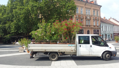 Kivir&aacute;gzott a Kossuth t&eacute;r!